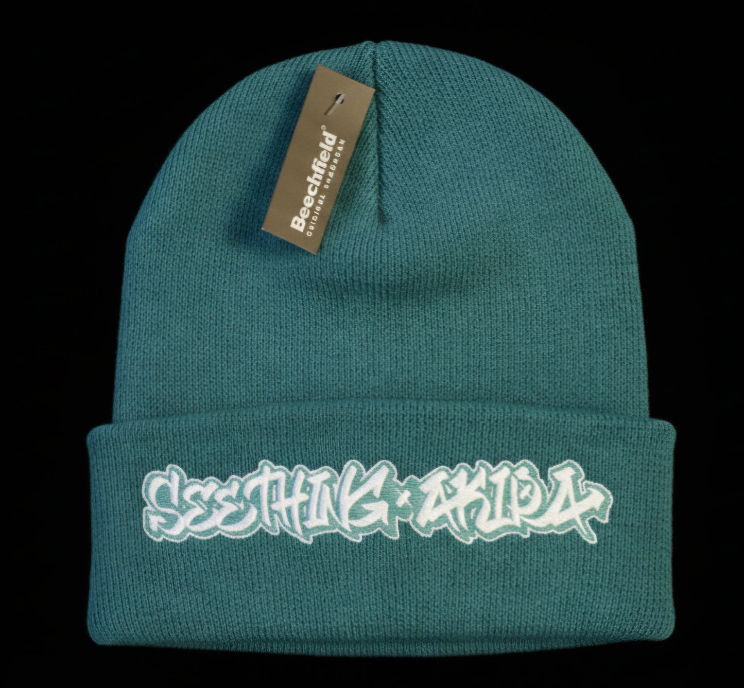 (F) Teal Beanie